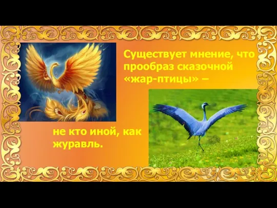 Существует мнение, что прообраз сказочной «жар-птицы» – не кто иной, как журавль.