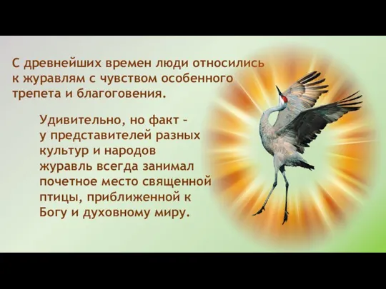 С древнейших времен люди относились к журавлям с чувством особенного трепета и