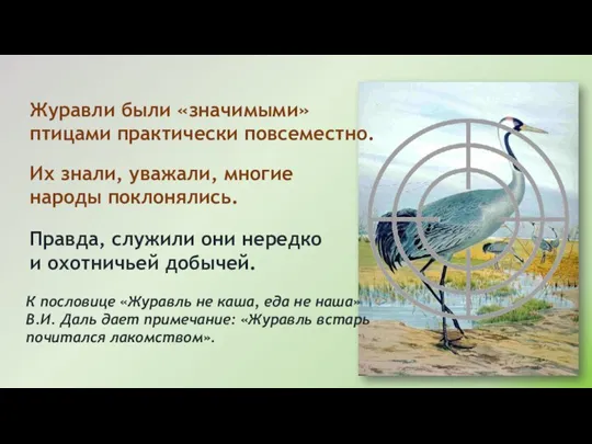 Их знали, уважали, многие народы поклонялись. Правда, служили они нередко и охотничьей