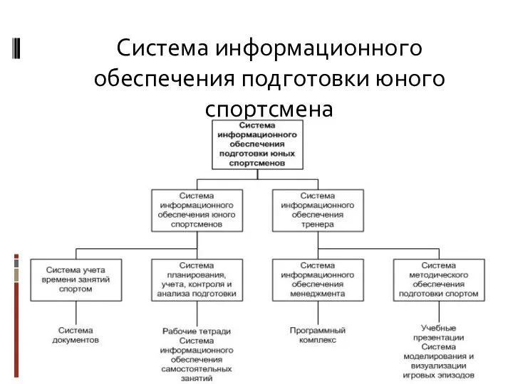 Система информационного обеспечения подготовки юного спортсмена