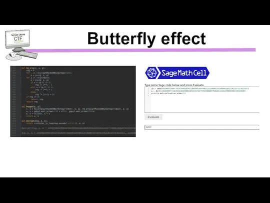 Butterfly effect