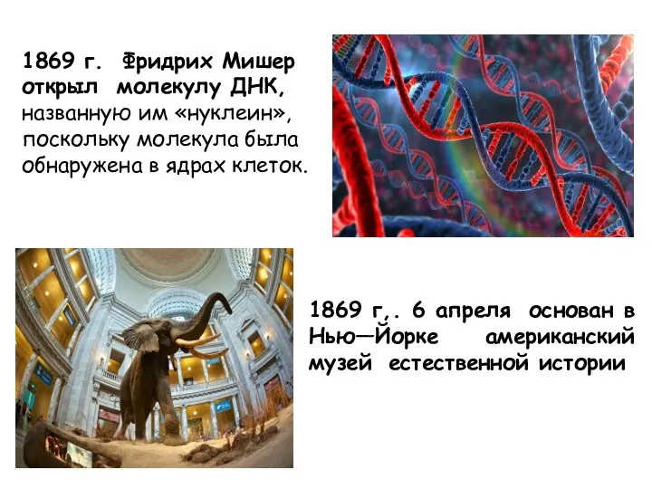 1869 г. Фридрих Мишер открыл молекулу ДНК, названную им «нуклеин», поскольку молекула