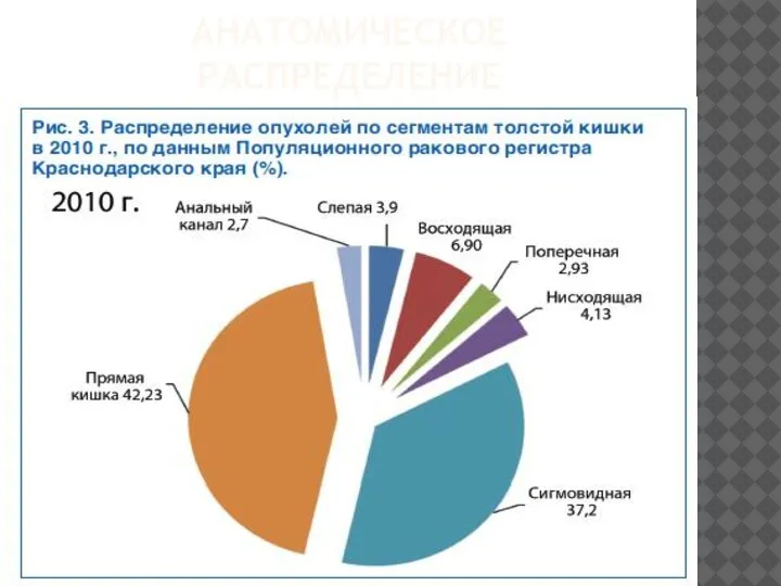 АНАТОМИЧЕСКОЕ РАСПРЕДЕЛЕНИЕ