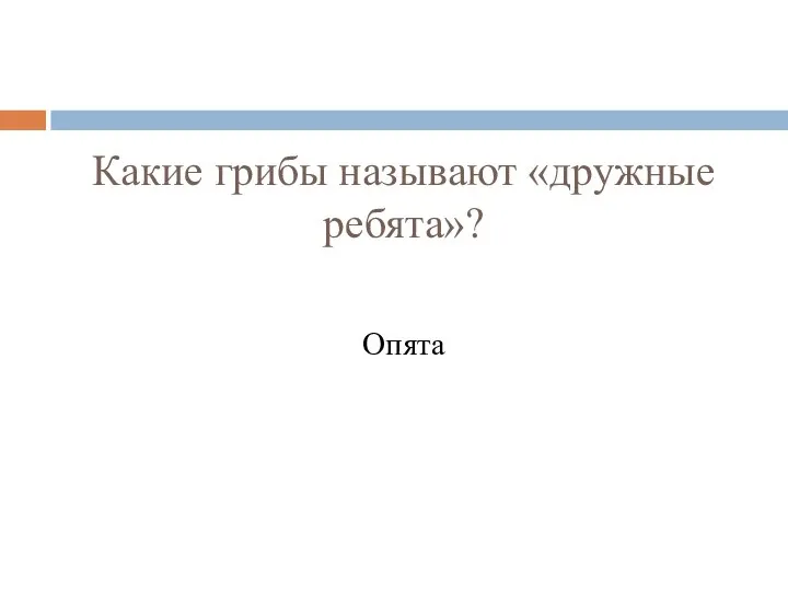 Какие грибы называют «дружные ребята»? Опята