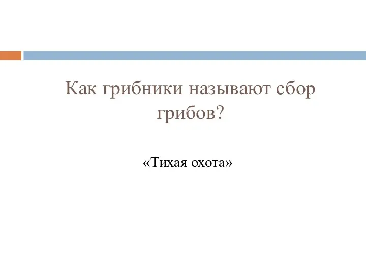 Как грибники называют сбор грибов? «Тихая охота»