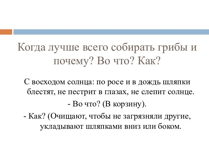 Когда лучше всего собирать грибы и почему? Во что? Как? С восходом