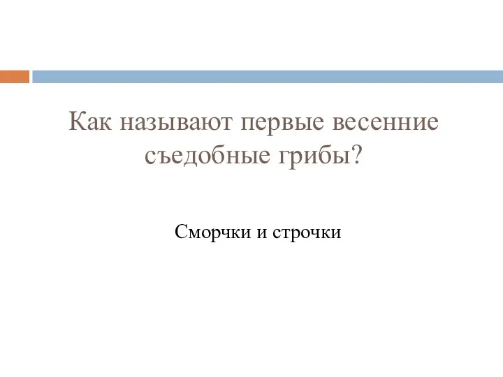 Как называют первые весенние съедобные грибы? Сморчки и строчки