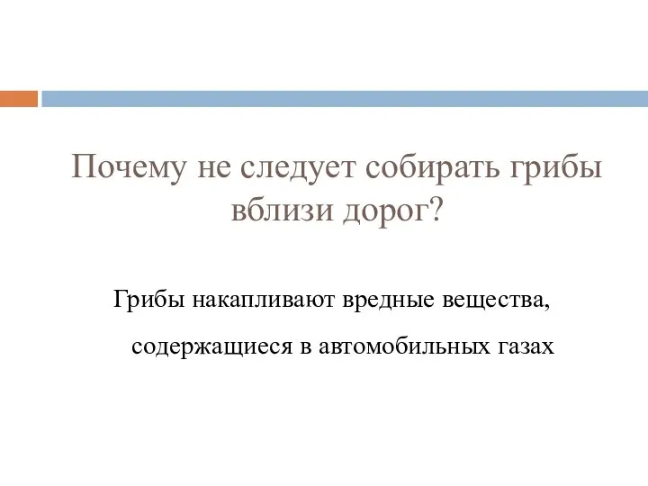 Почему не следует собирать грибы вблизи дорог? Грибы накапливают вредные вещества, содержащиеся в автомобильных газах