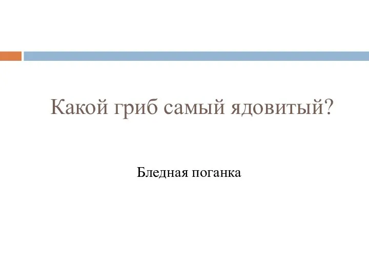 Какой гриб самый ядовитый? Бледная поганка