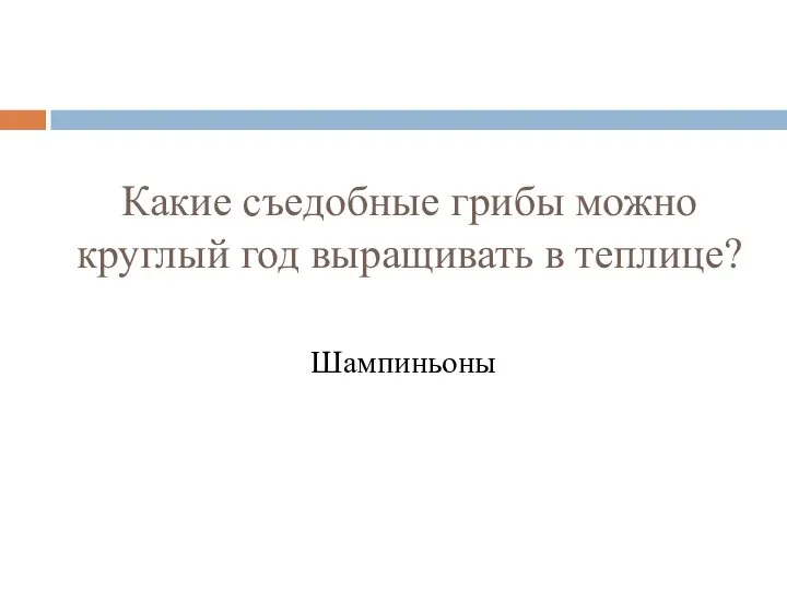 Какие съедобные грибы можно круглый год выращивать в теплице? Шампиньоны