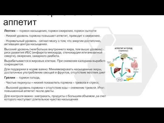 Влияние гормонов на аппетит Лептин — гормон насыщения, гормон ожирения, гормон сытости