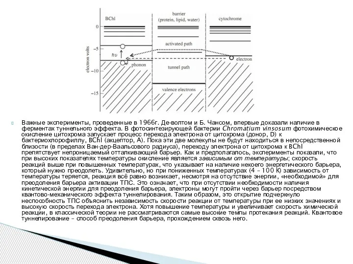 Важные эксперименты, проведенные в 1966г. Де-волтом и Б. Чансом, впервые доказали наличие