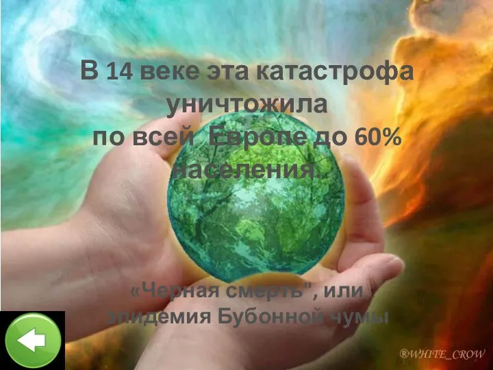 В 14 веке эта катастрофа уничтожила по всей Европе до 60% населения.