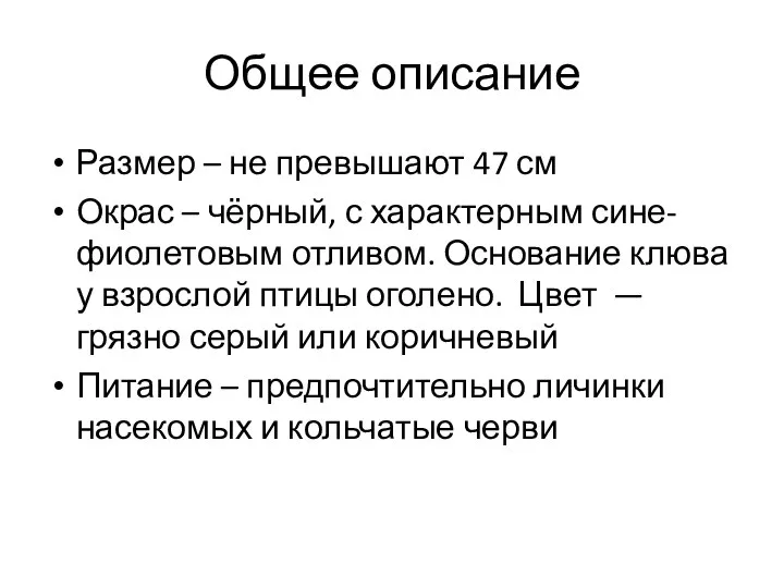 Общее описание Размер – не превышают 47 см Окрас – чёрный, с