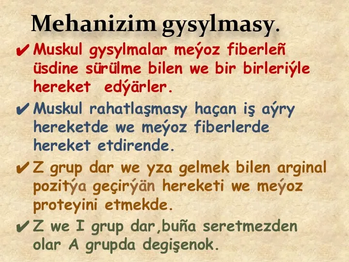 Muskul gysylmalar meýoz fiberleñ üsdine sürülme bilen we bir birleriýle hereket edýärler.