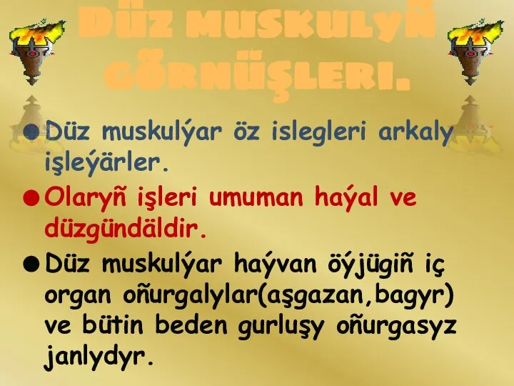 Düz muskulýar öz islegleri arkaly işleýärler. Olaryñ işleri umuman haýal ve düzgündäldir.