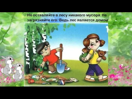 Не оставляйте в лесу никакого мусора. Не загрязняйте его! Ведь лес является