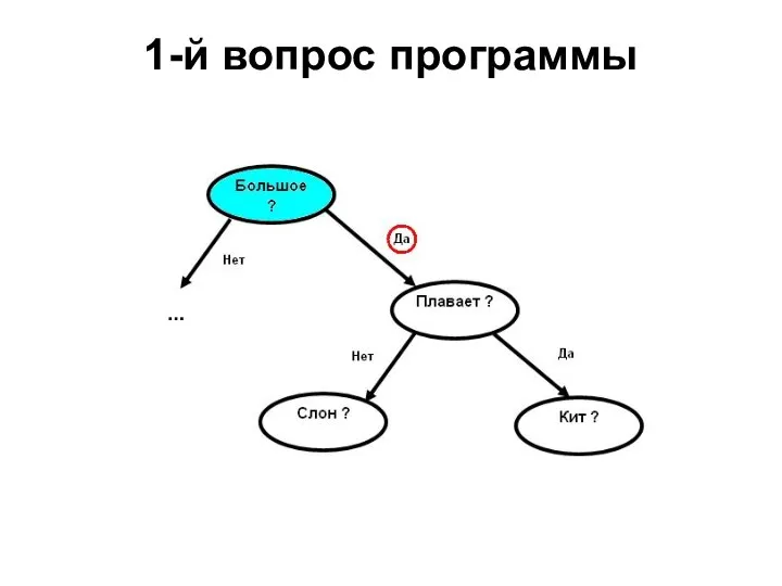 1-й вопрос программы