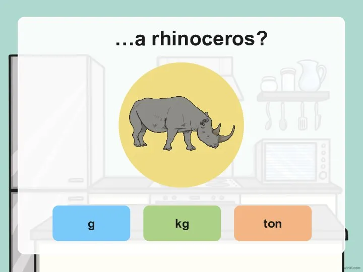 …a rhinoceros? g kg ton