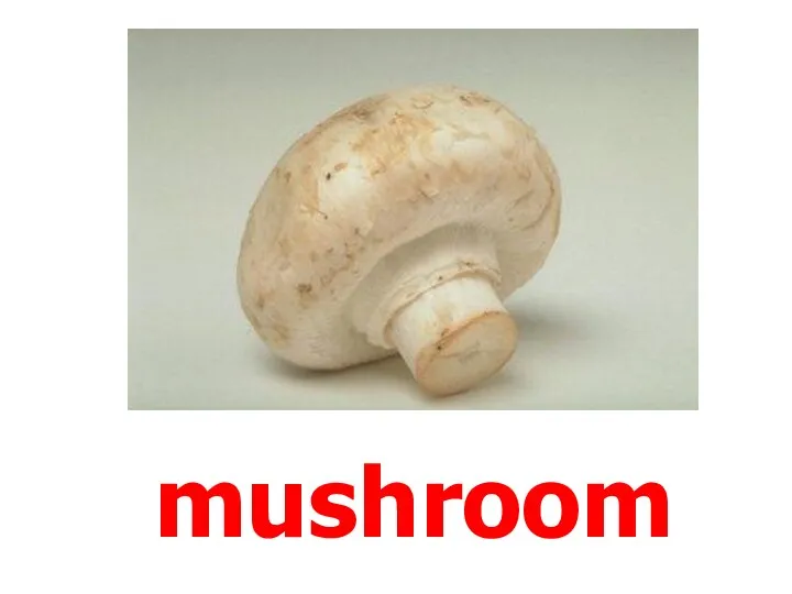 mushroom