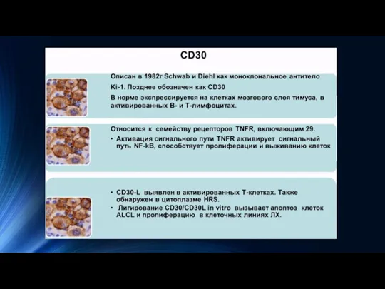 Макет двух типов объектов с таблицей Первый пункт списка Второй пункт списка Третий пункт списка