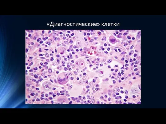 «Диагностические» клетки