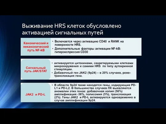 Выживание HRS клеток обусловлено активацией сигнальных путей