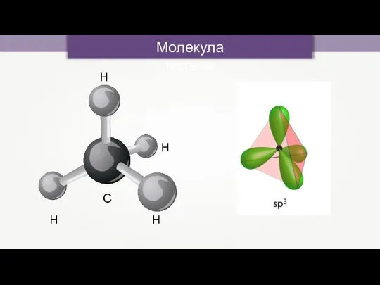 С H H H H Молекула метана