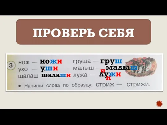 ПРОВЕРЬ СЕБЯ ножи уши шалаши груши малыши лужи