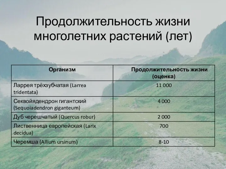 Продолжительность жизни многолетних растений (лет)