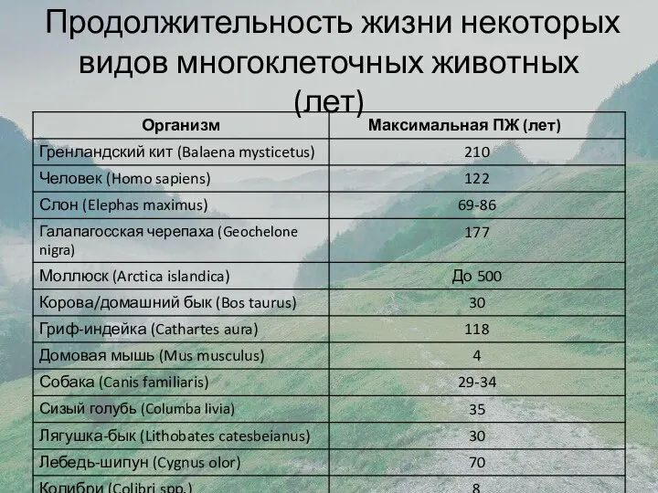 Продолжительность жизни некоторых видов многоклеточных животных (лет)