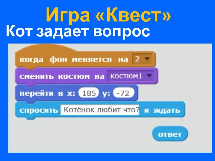 Игра «Квест» Кот задает вопрос