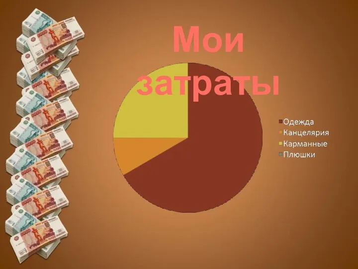 Мои затраты