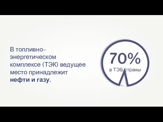 В топливно-энергетическом комплексе (ТЭК) ведущее место принадлежит нефти и газу.