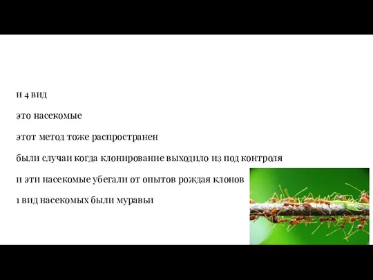 и 4 вид это насекомые этот метод тоже распространен были случаи когда