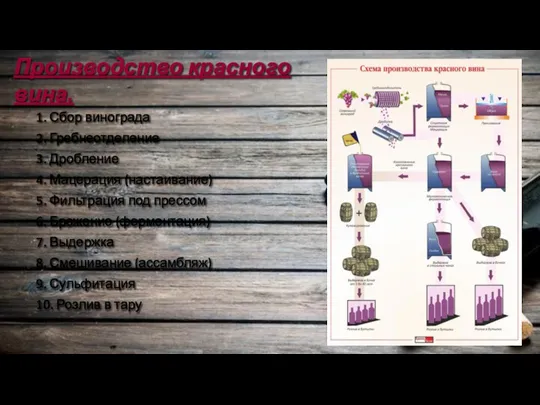 Производство красного вина. 1. Сбор винограда 2. Гребнеотделение 3. Дробление 4. Мацерация
