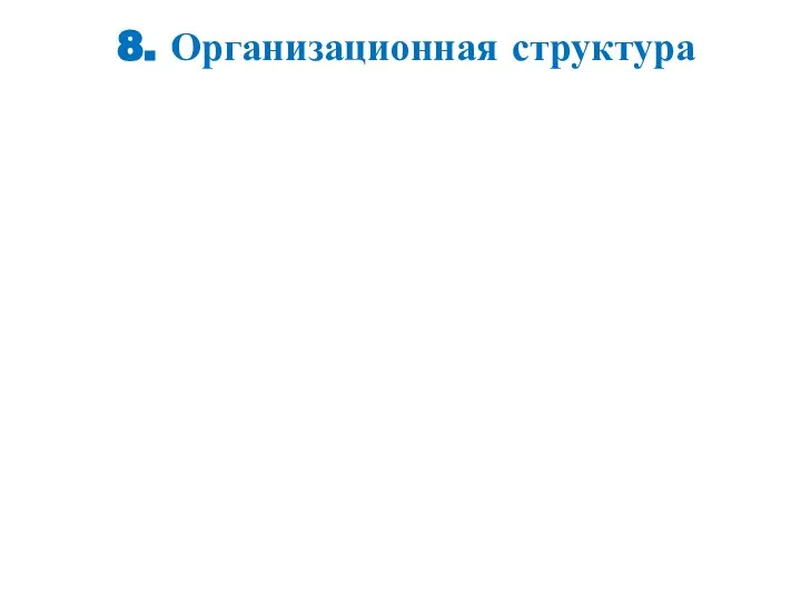 8. Организационная структура