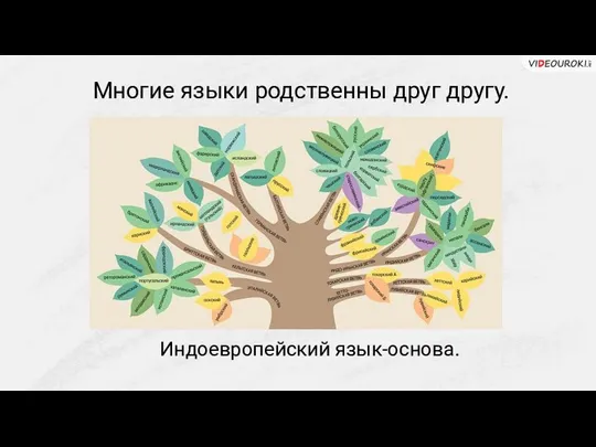 Многие языки родственны друг другу. Индоевропейский язык-основа.