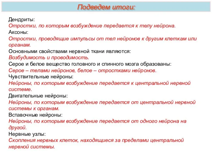 Дендриты: Отростки, по которым возбуждение передается к телу нейрона. Аксоны: Отростки, проводящие