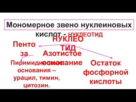 Мономерное звено нуклеиновых кислот - НУКЛЕОТИД НУКЛЕОТИД Азотистое основание Пентоза Остаток фосфорной