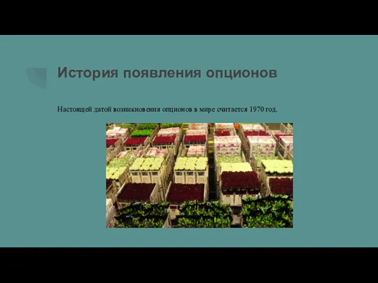 История появления опционов Настоящей датой возникновения опционов в мире считается 1970 год.