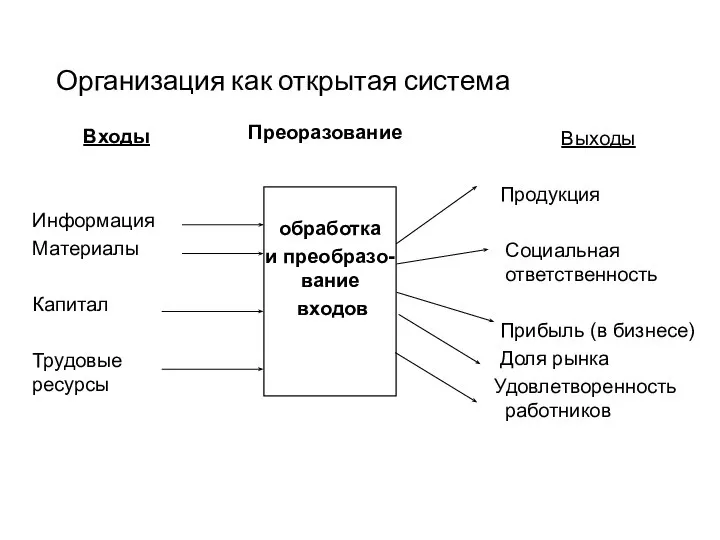 Организация как открытая система