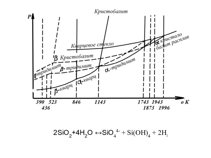 2SiO2+4Н2О ↔SiO44- + Si(OH)4 + 2H2