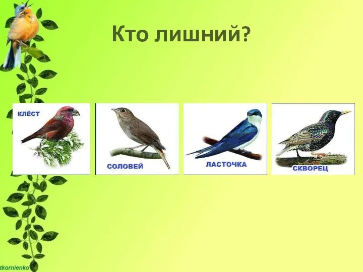 Кто лишний?