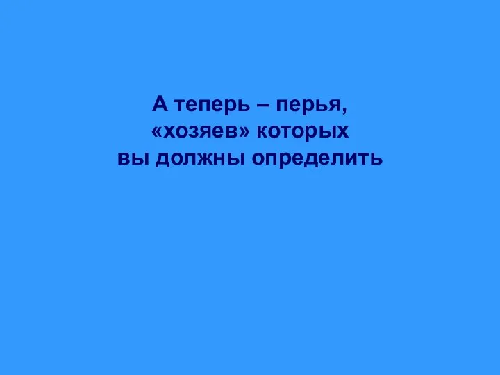 А теперь – перья, «хозяев» которых вы должны определить