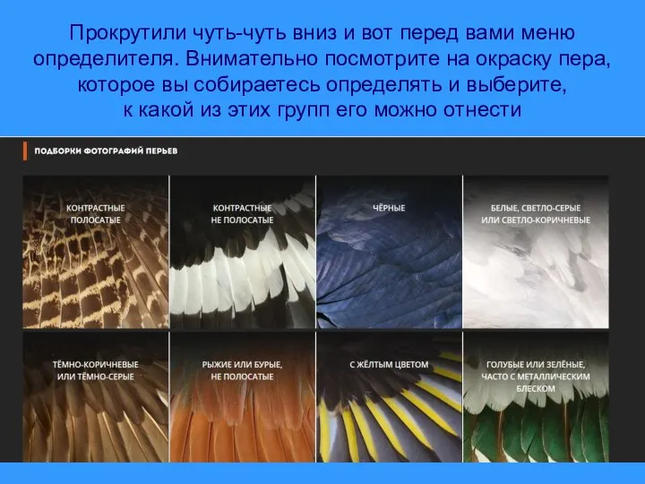 Прокрутили чуть-чуть вниз и вот перед вами меню определителя. Внимательно посмотрите на