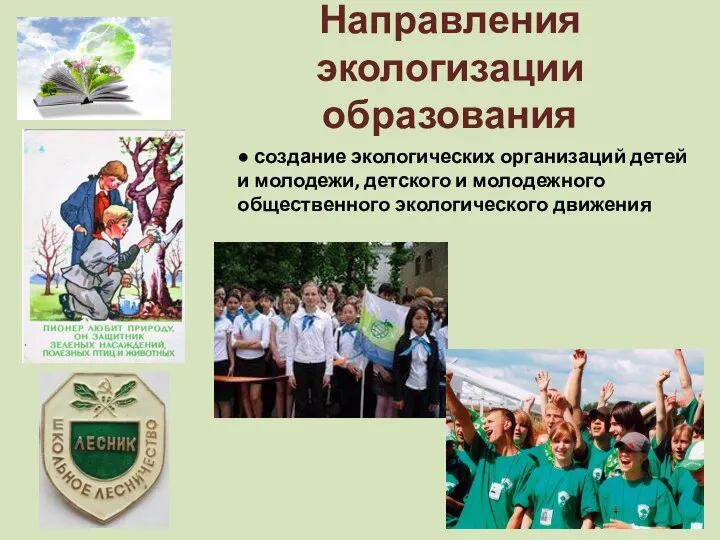 Направления экологизации образования ● создание экологических организаций детей и молодежи, детского и молодежного общественного экологического движения