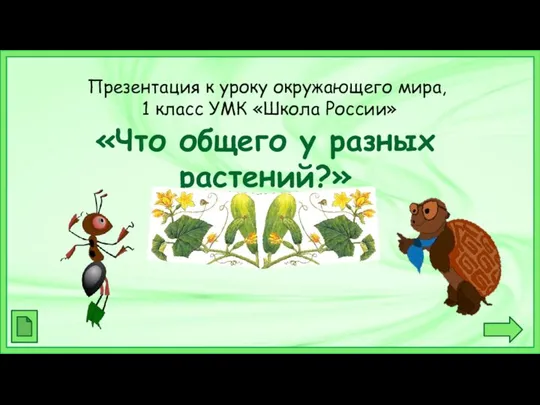 Презентация к уроку окружающего мира, 1 класс УМК «Школа России» «Что общего у разных растений?»