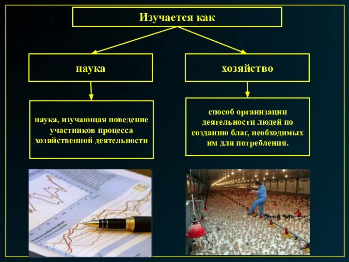 Изучается как наука хозяйство способ организации деятельности людей по созданию благ, необходимых