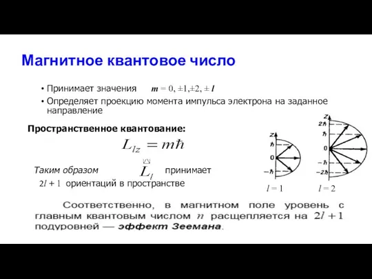Магнитное квантовое число Принимает значения m = 0, ±1,±2, ± l Определяет
